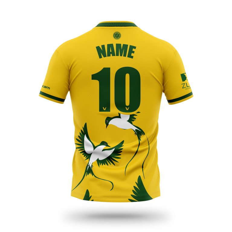 GOLEVAV Maillot GARDIEN - PAILLE EN QUEUE