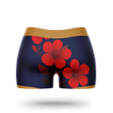 SDOVB 26 Short F - Bleu