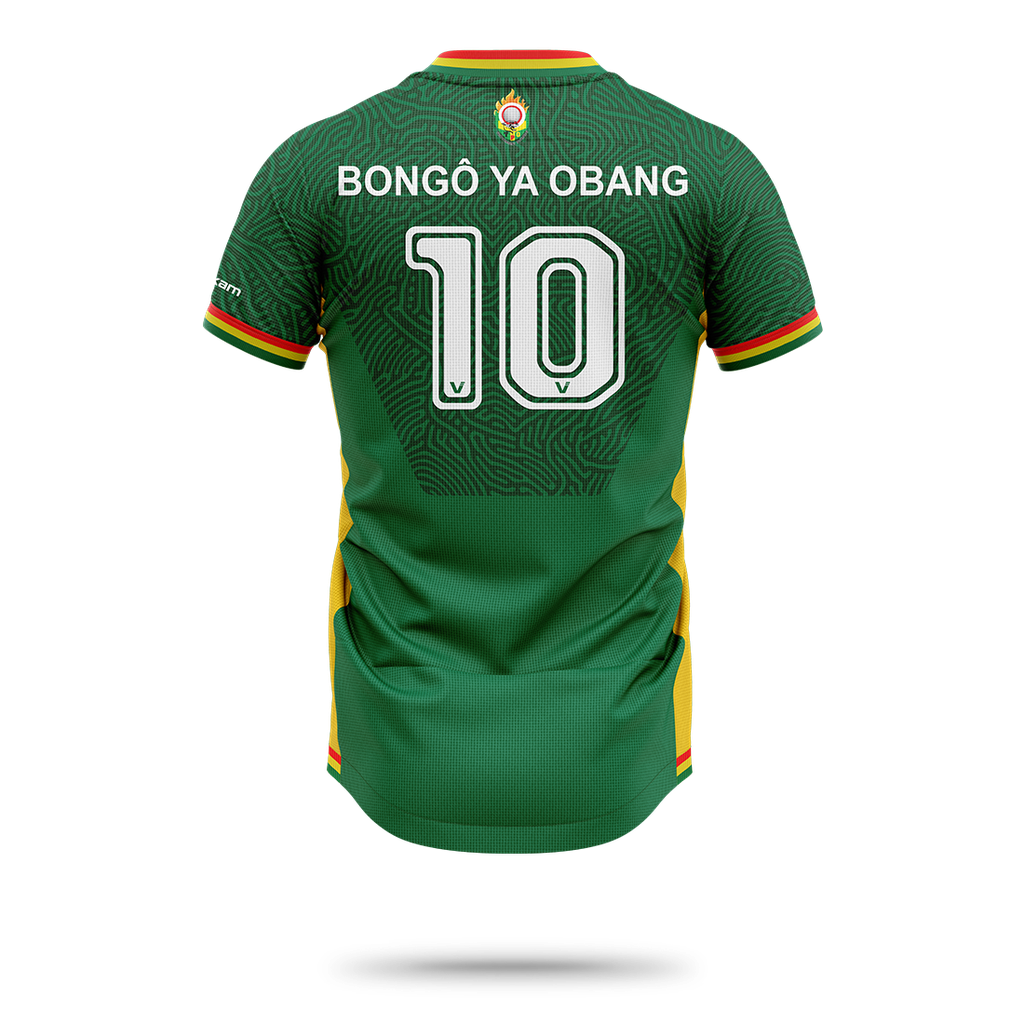 TOUT PUISSANT D'OBANG II Maillot de match H - Vert