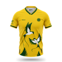 GOLEVAV Maillot GARDIEN - PAILLE EN QUEUE