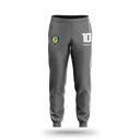 LASOURS 27 Pants Goalkeeper - Grey