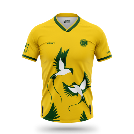 GOLEVAV Maillot GARDIEN - PAILLE EN QUEUE