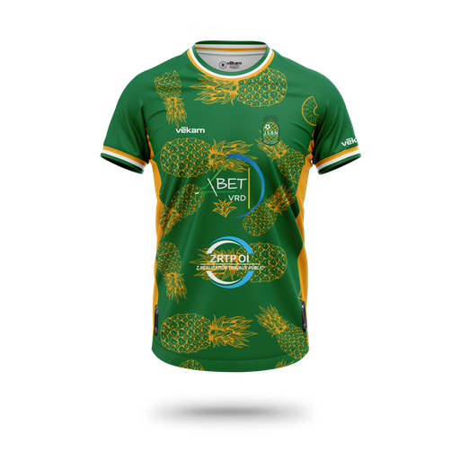 JSBN Maillot de match H - Vert