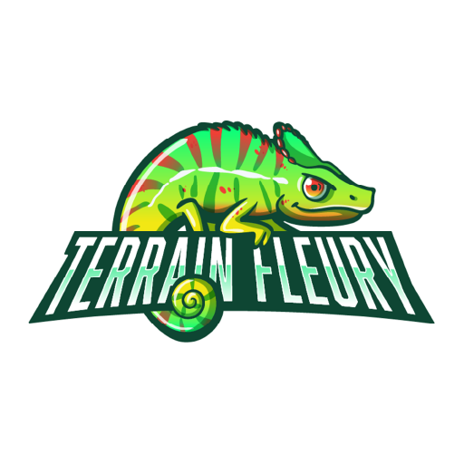 ASSOCIATION SPORTIVE COLLEGE TERRAIN FLEURY