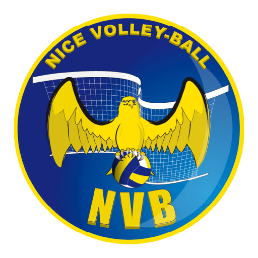 NICE VOLLEYBALL